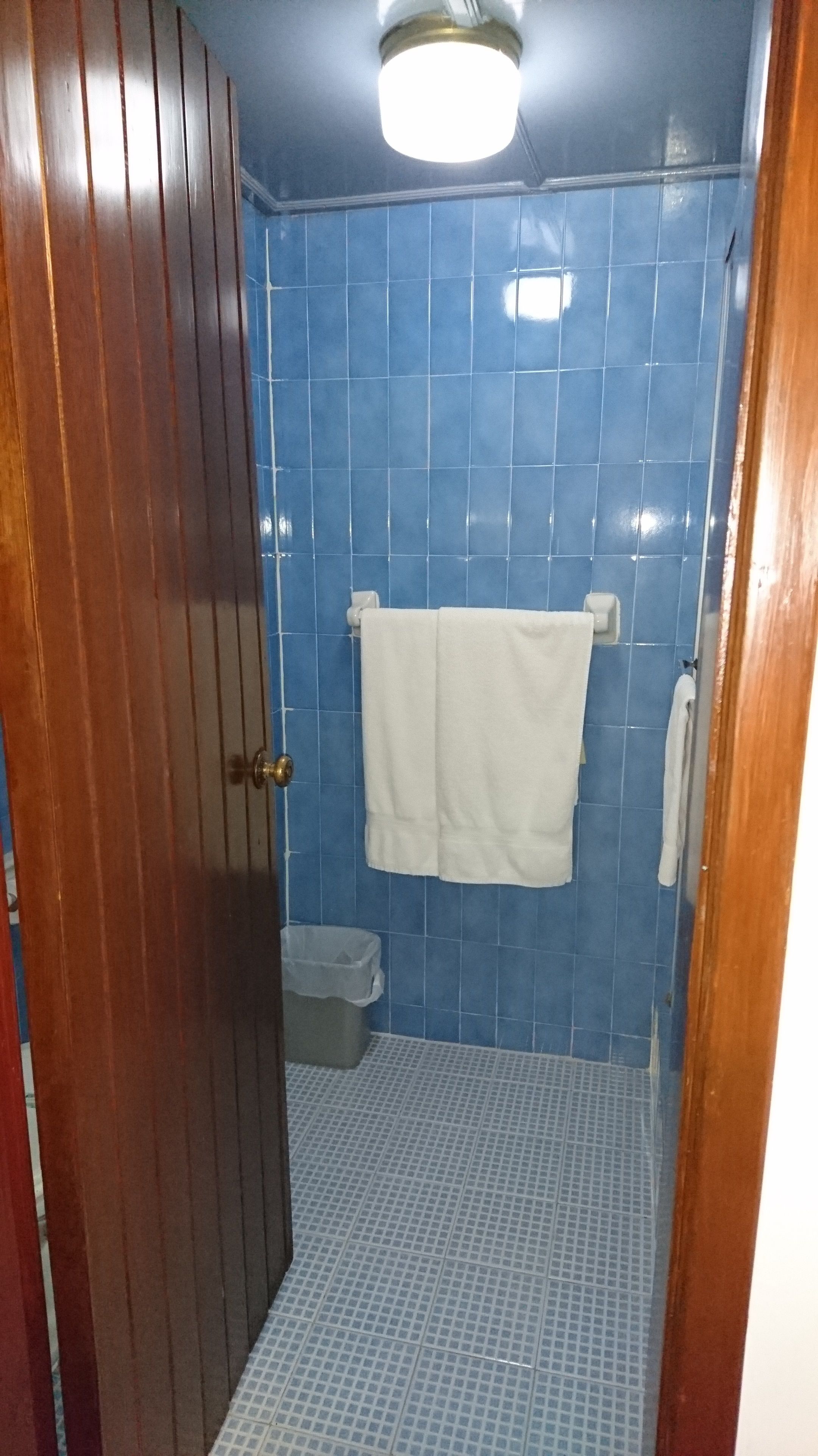 A bathroom with blue tiles, a white towel hanging on a rack, and a wooden door.