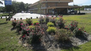 Edifício do Travel Inn & Suites com um estacionamento e canteiros de flores em primeiro plano.