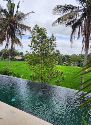View from property - Motama Villa (Ubud)