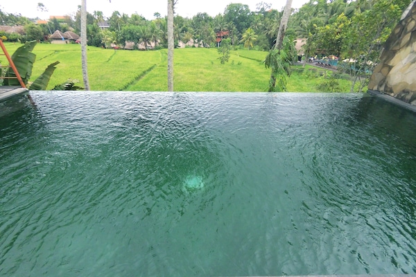Kolam renang outdoor, dengan kursi berjemur