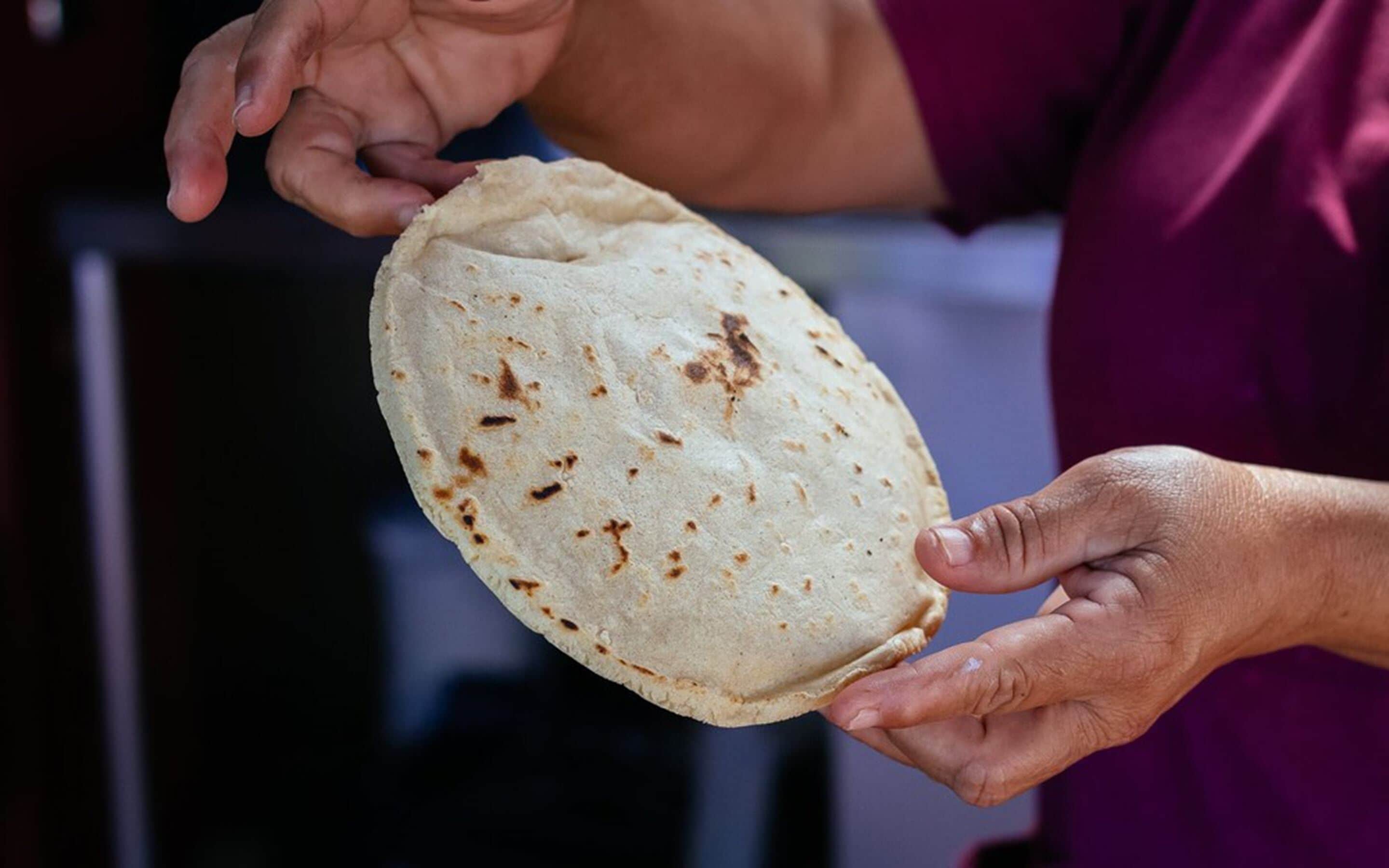 Una persona sosteniendo una tortilla.