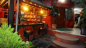 Un espace bar avec des tabourets, un comptoir et une grande plante en pot.