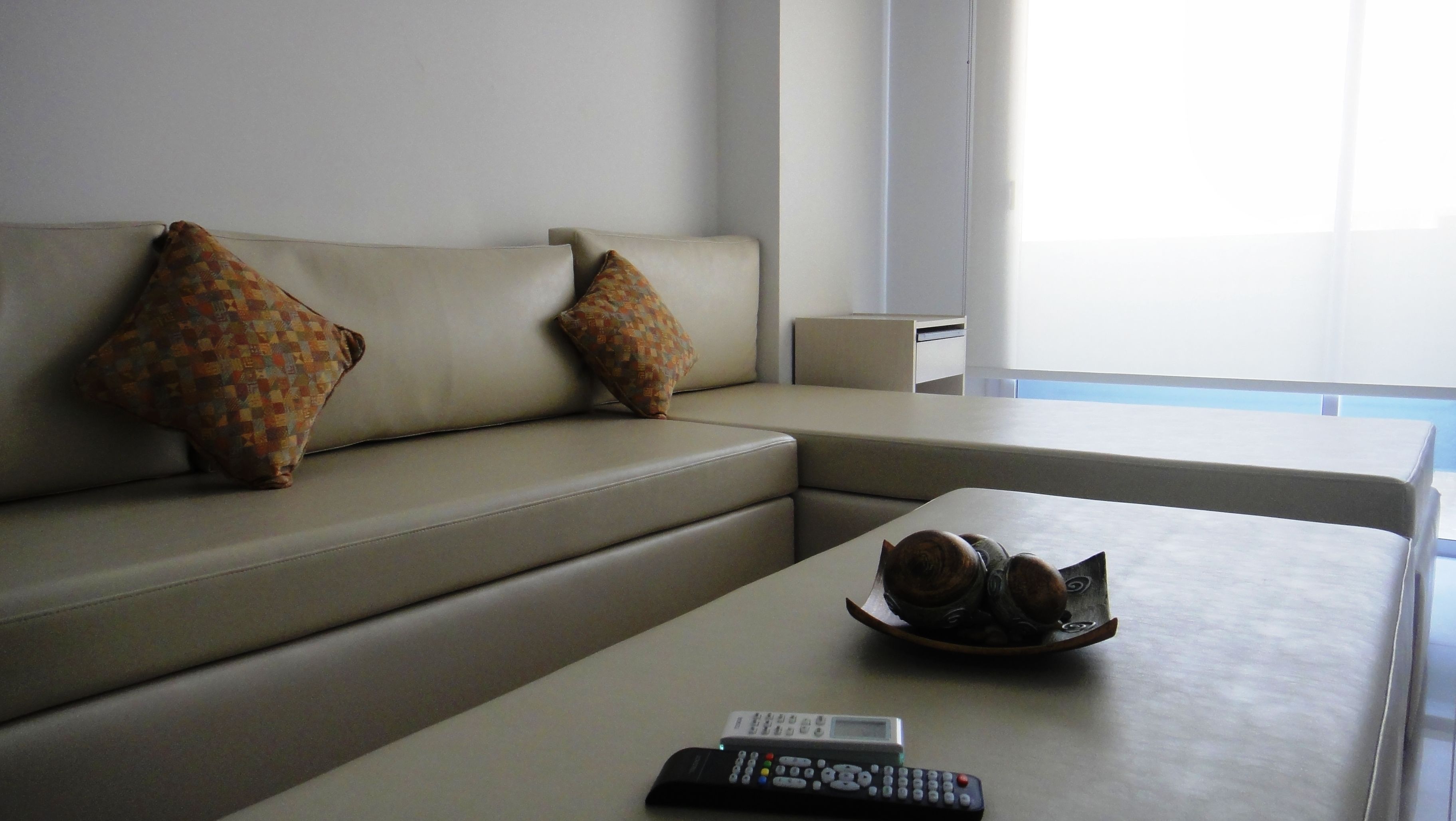 A modern living room with a beige sofa, two patterned pillows, a coffee table with a remote control, and a decorative plate.