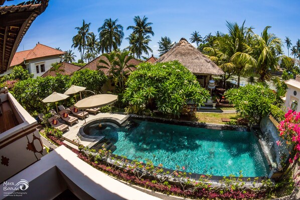 Zona de piscina con sillas de descanso y sombrillas, rodeada de vegetación tropical y palmeras.
