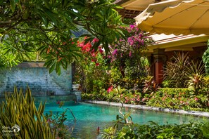 Outdoor pool - Rama Shinta Hotel (Karangasem)