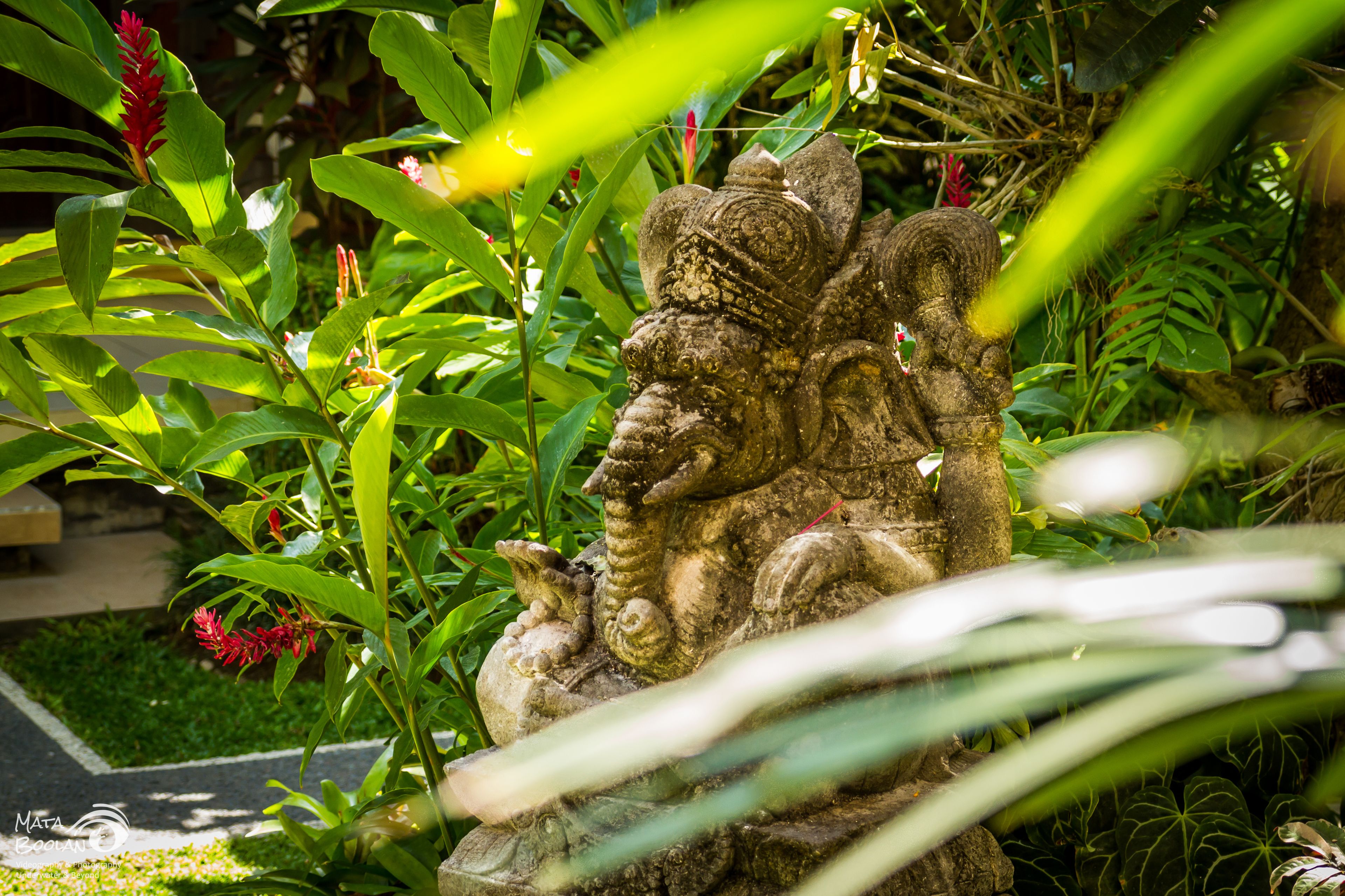 superior room | garden