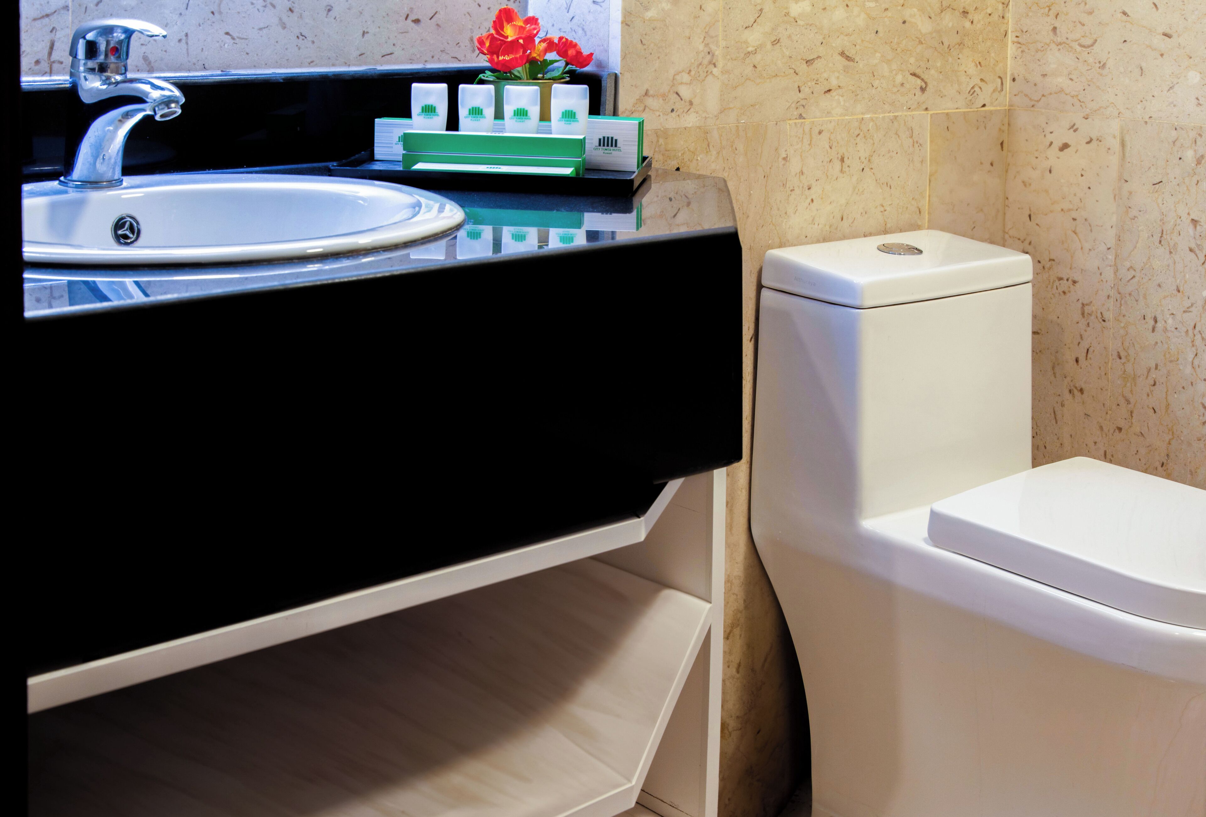 A bathroom with a sink, toilet, and a small shelf with toiletries.