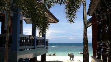 Beachfront Bungalow | Praia | Na praia