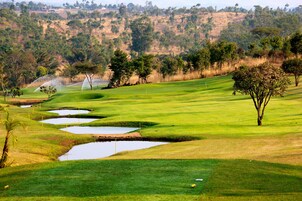 Golfe