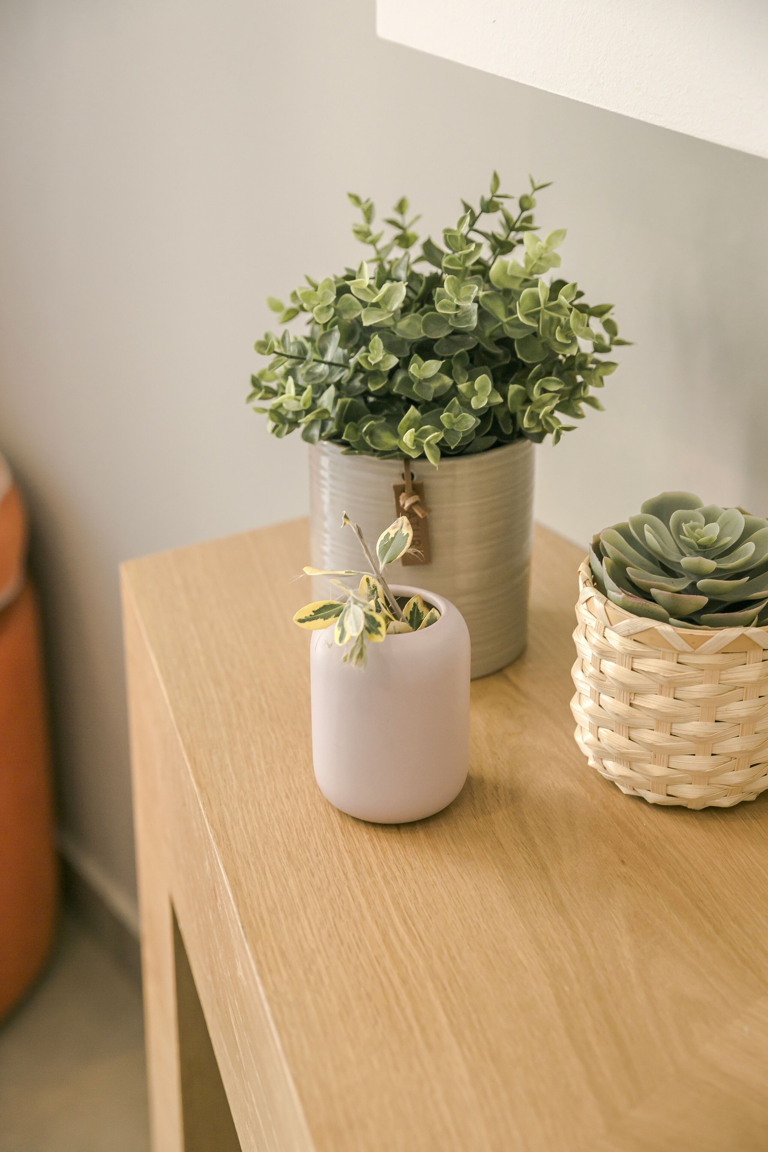 A wooden table with three potted plants: a large metal pot with green foliage, a small white ceramic pot with variegated leaves, and a woven basket with a succulent.