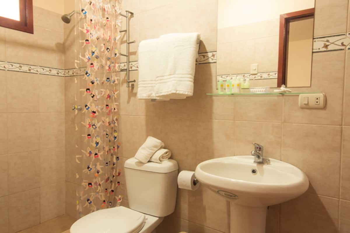 shower, free toiletries, hair dryer, towels