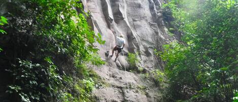 A person climbing a rocky cliff surrounded by dense greenery.