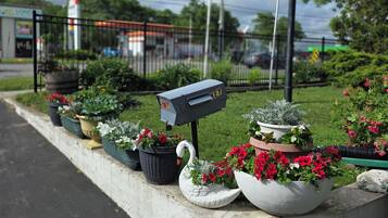 Jardin