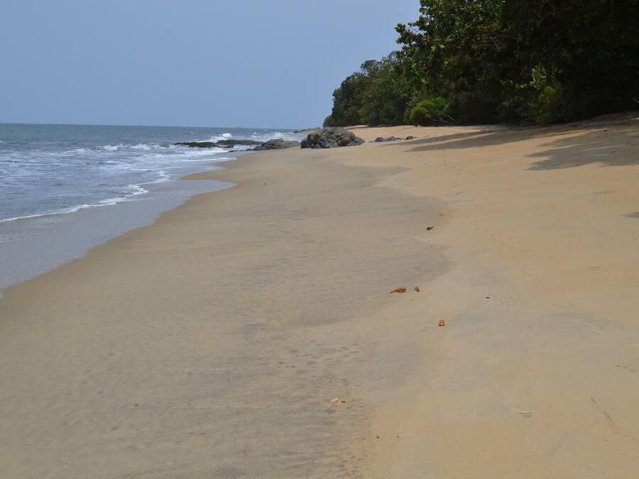 Sulla spiaggia, ombrelloni