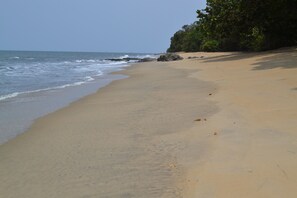 A sandy beach with gentle waves, a clear sky, and dense green foliage on the right. - Hotel Tara Plage (Kribi)
