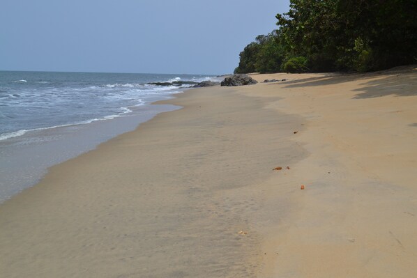 On the beach, beach umbrellas