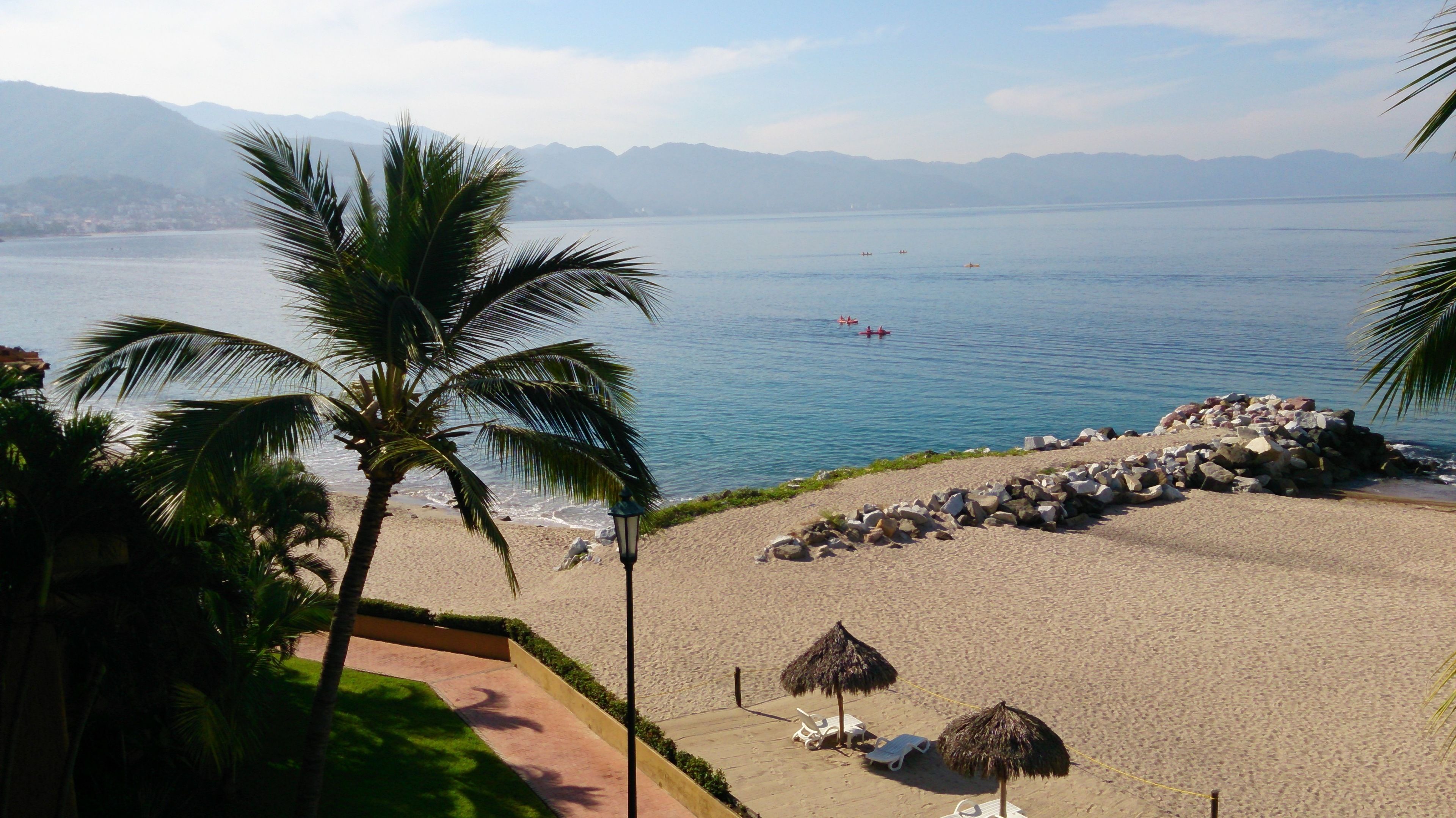 A beach with palm trees, a rocky shoreline, and a clear view of the sea.