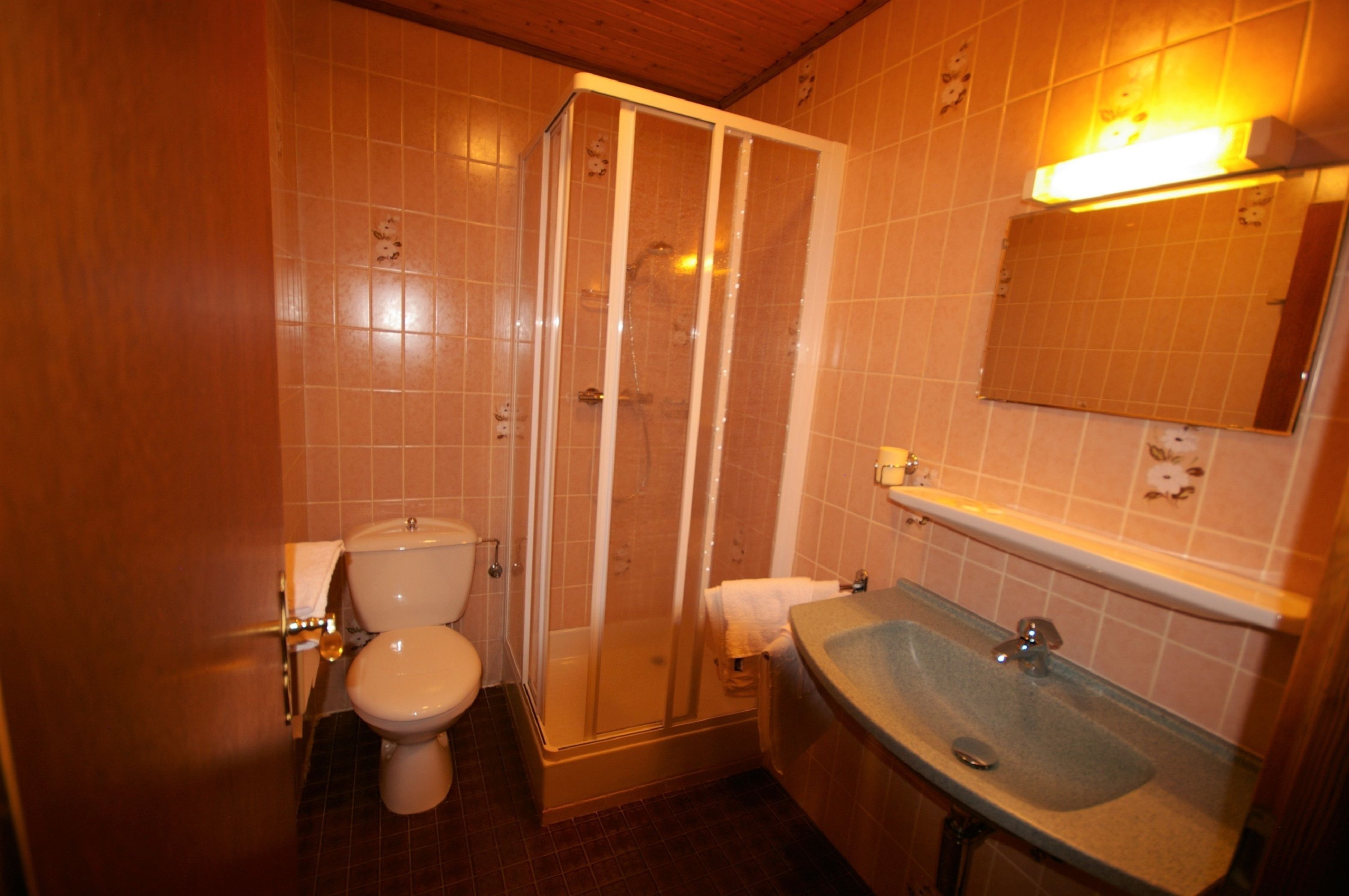 economy double room | bathroom | combined shower/bathtub, free toiletries, hair dryer, towels