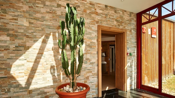 A cactus in a terracotta pot against a brick wall with a wooden door and a red frame window. - Le Clos du Hahnenberg (Urmatt)
