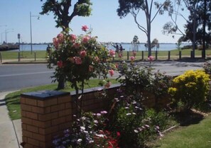 View from property - Lakeview Motel (Yarrawonga)