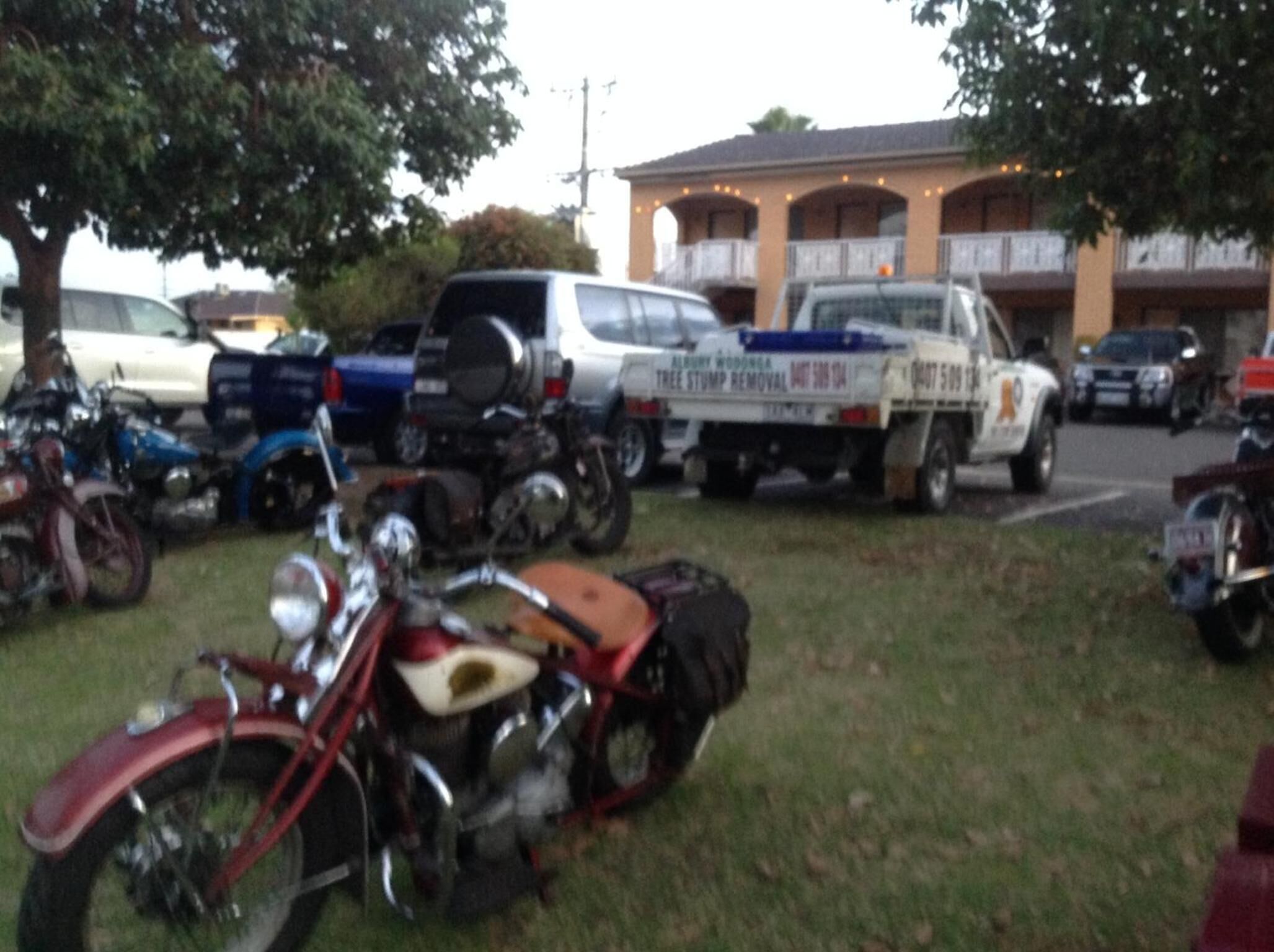 Un estacionamiento con varias motocicletas y un árbol.