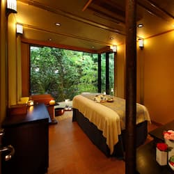 Couples treatment room(s), sauna, hot tub, hot springs/mineral springs