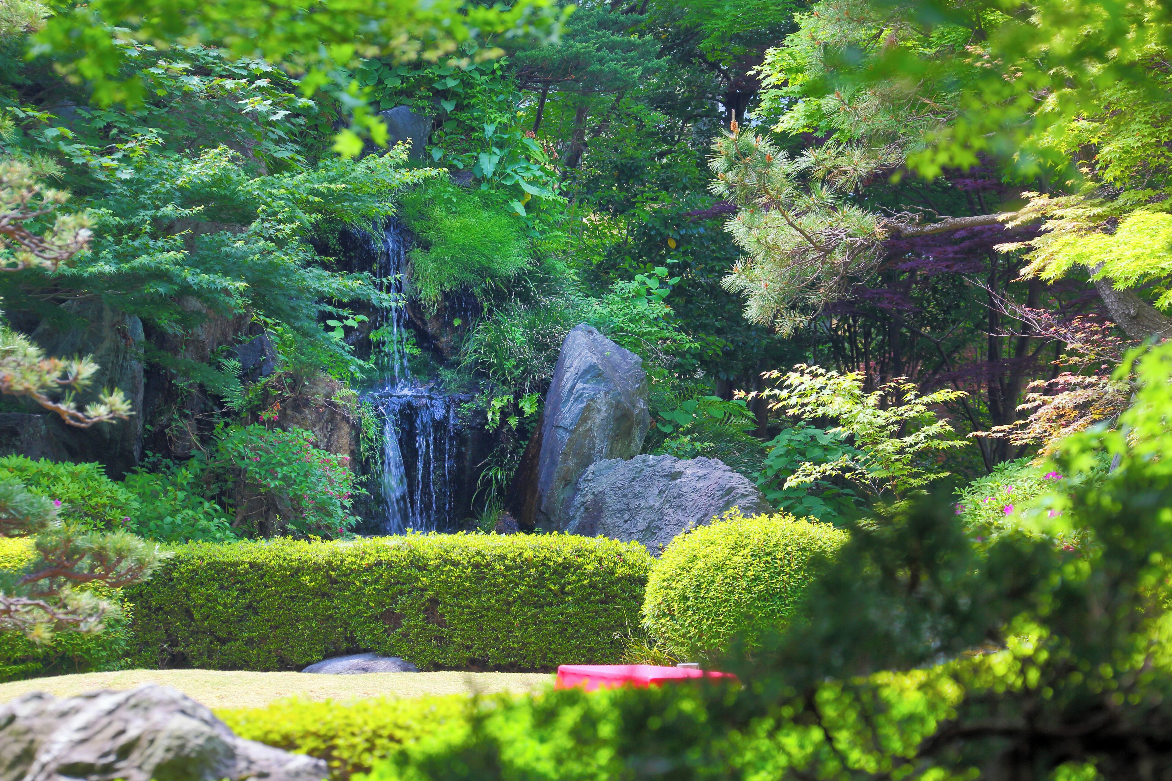 A lush garden with a waterfall, neatly trimmed hedges, and large rocks.