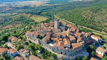 An aerial view of a historic town with a central castle, surrounded by traditional buildings and lush greenery.