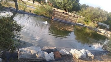 A pond with a wooden deck and a metal railing.