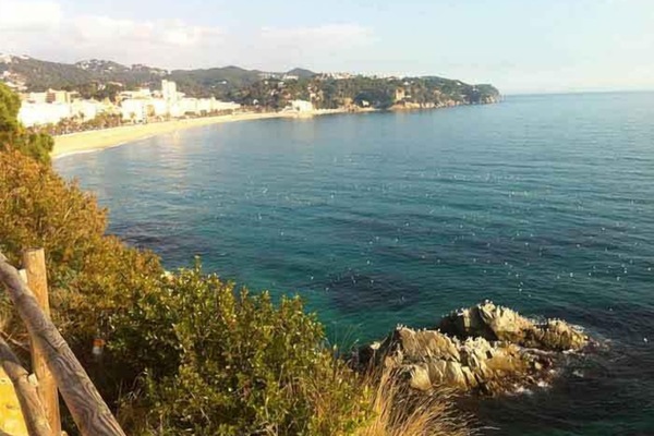 Beach/ocean view