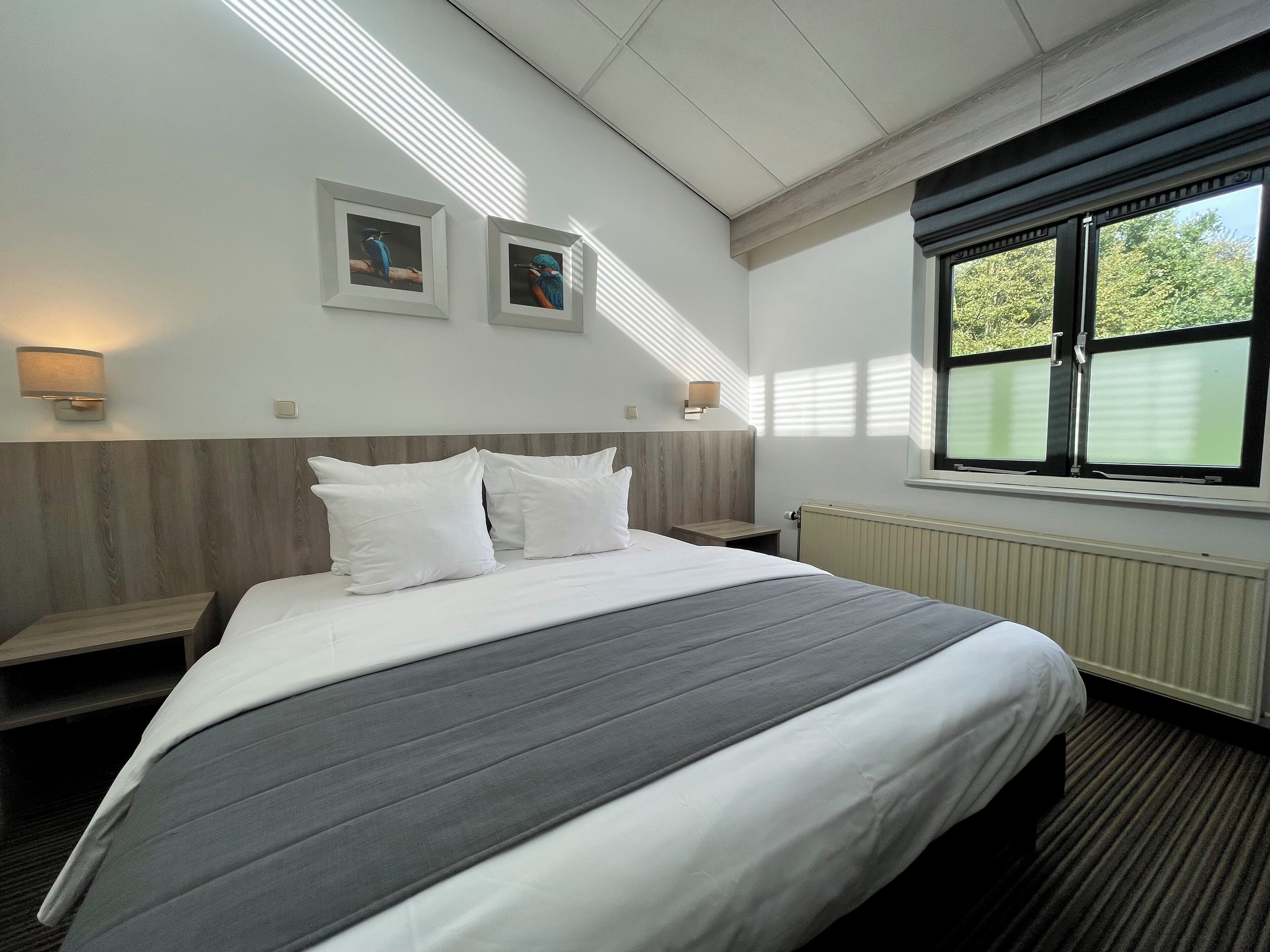 Desk, blackout curtains, iron/ironing board, free WiFi