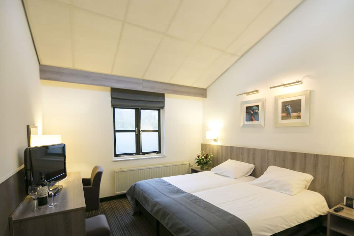 standard double or twin room | desk, blackout curtains, iron/ironing board, free wifi