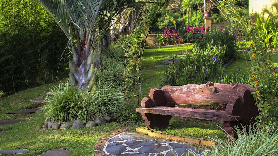 Casas del Toro Monteverde