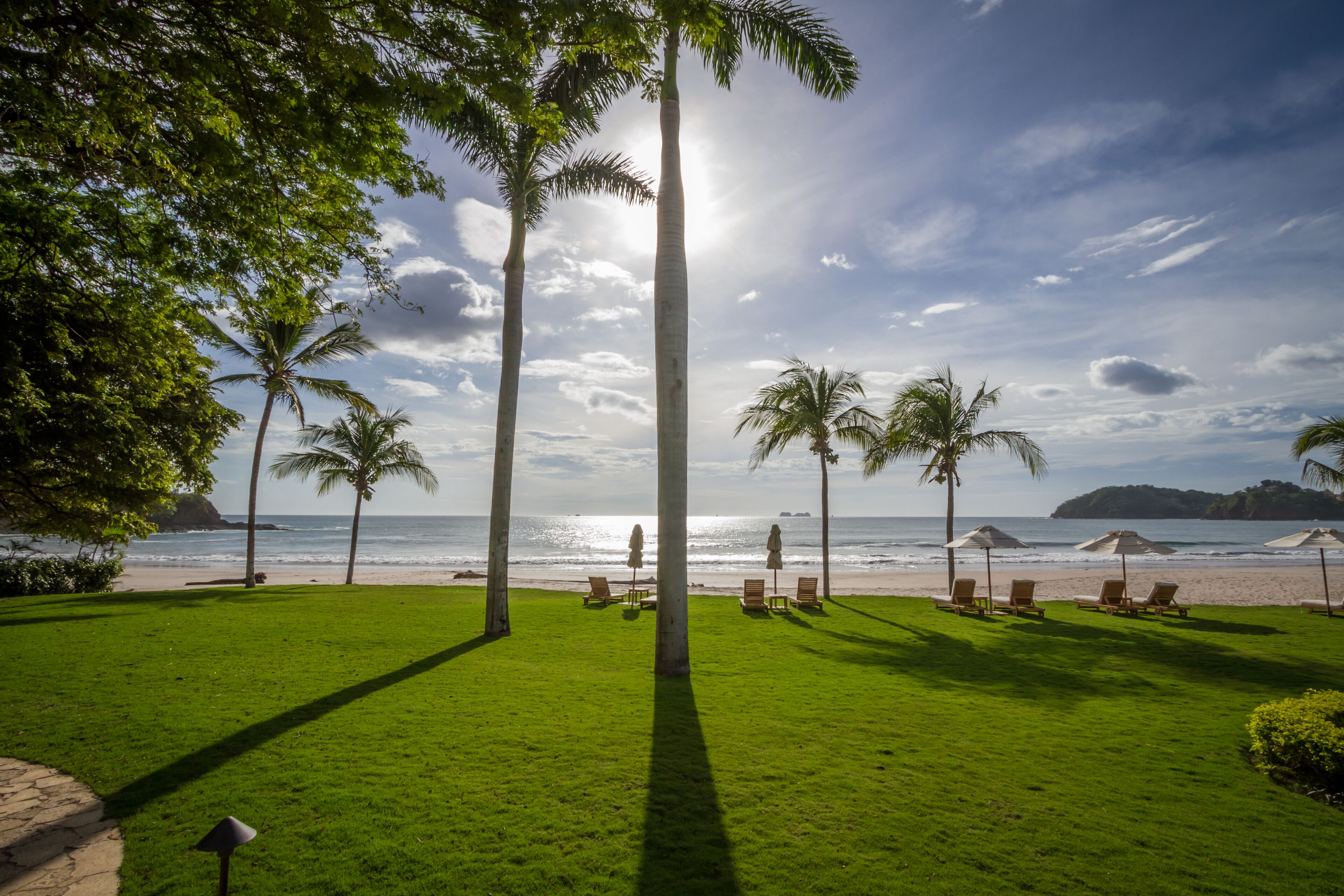 A beachside lawn with palm trees, sun loungers, and umbrellas.