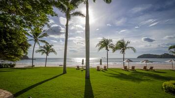 A beachside lawn with palm trees, sun loungers, and umbrellas.