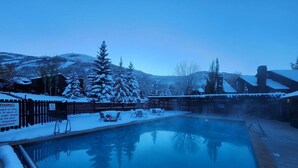 Una piscina con muelle de madera, rodeada de árboles cubiertos de nieve y una cerca de madera.