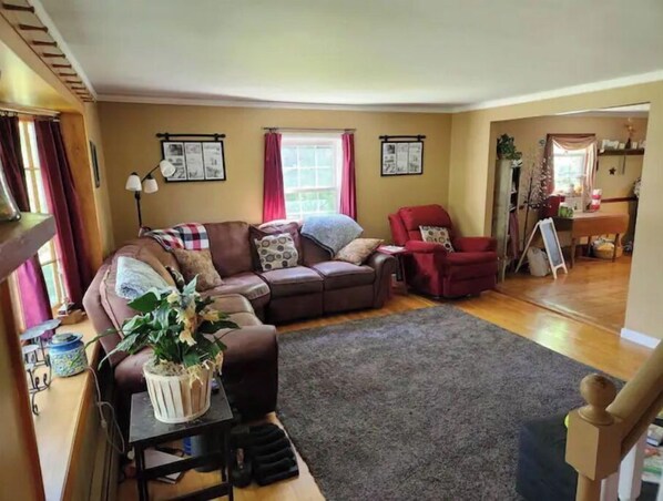 A living room with a brown leather sofa, a red armchair, and a coffee table with a potted plant. There are two windows with curtains, a fireplace, and a wall-mounted picture frame.
