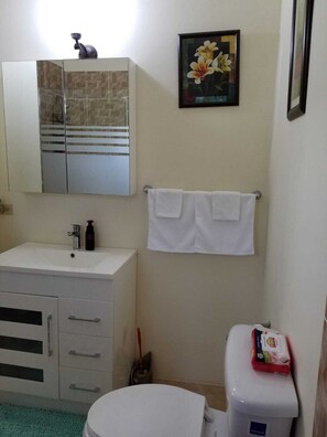 Douche, serviettes fournies, shampooing, papier de toilette