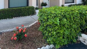A two-story residential building with a balcony, a front door, and a small garden area with shrubs and flowers. - On the water and golf course view (St. Petersburg)