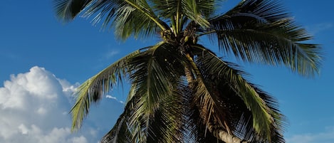 在海灘附近