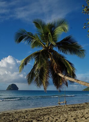 A beach with a palm tree, ocean waves, and a small island in the distance. - Pomme Cannelle, un paisible T2Bis idéalement situé (Le Diamant)