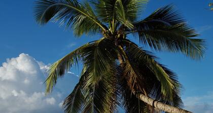 Pomme Cannelle, un paisible T2Bis idĂ©alement situĂ© Ă 100 mĂštres de la plage đŽ