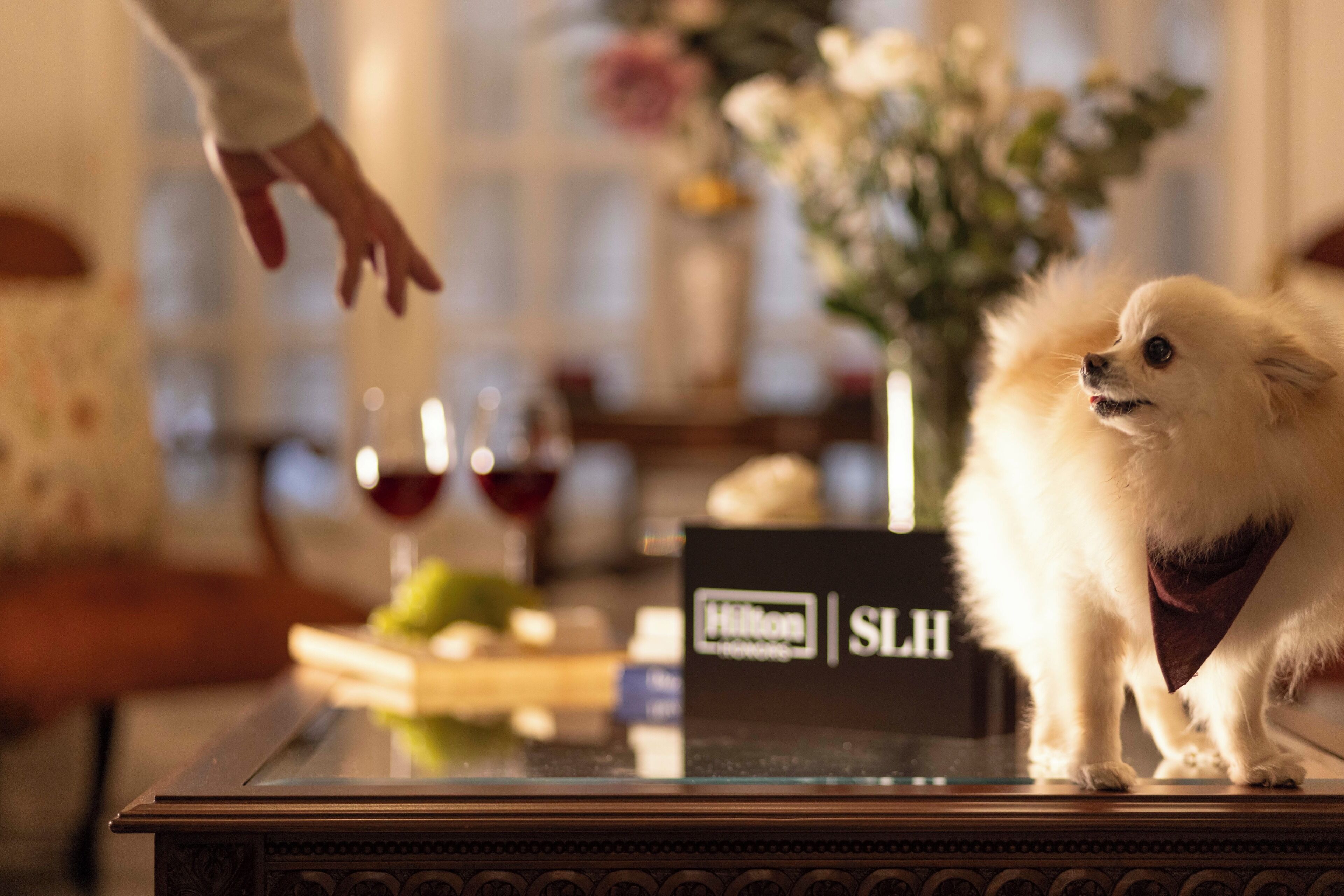 Foto - Roso Guest House