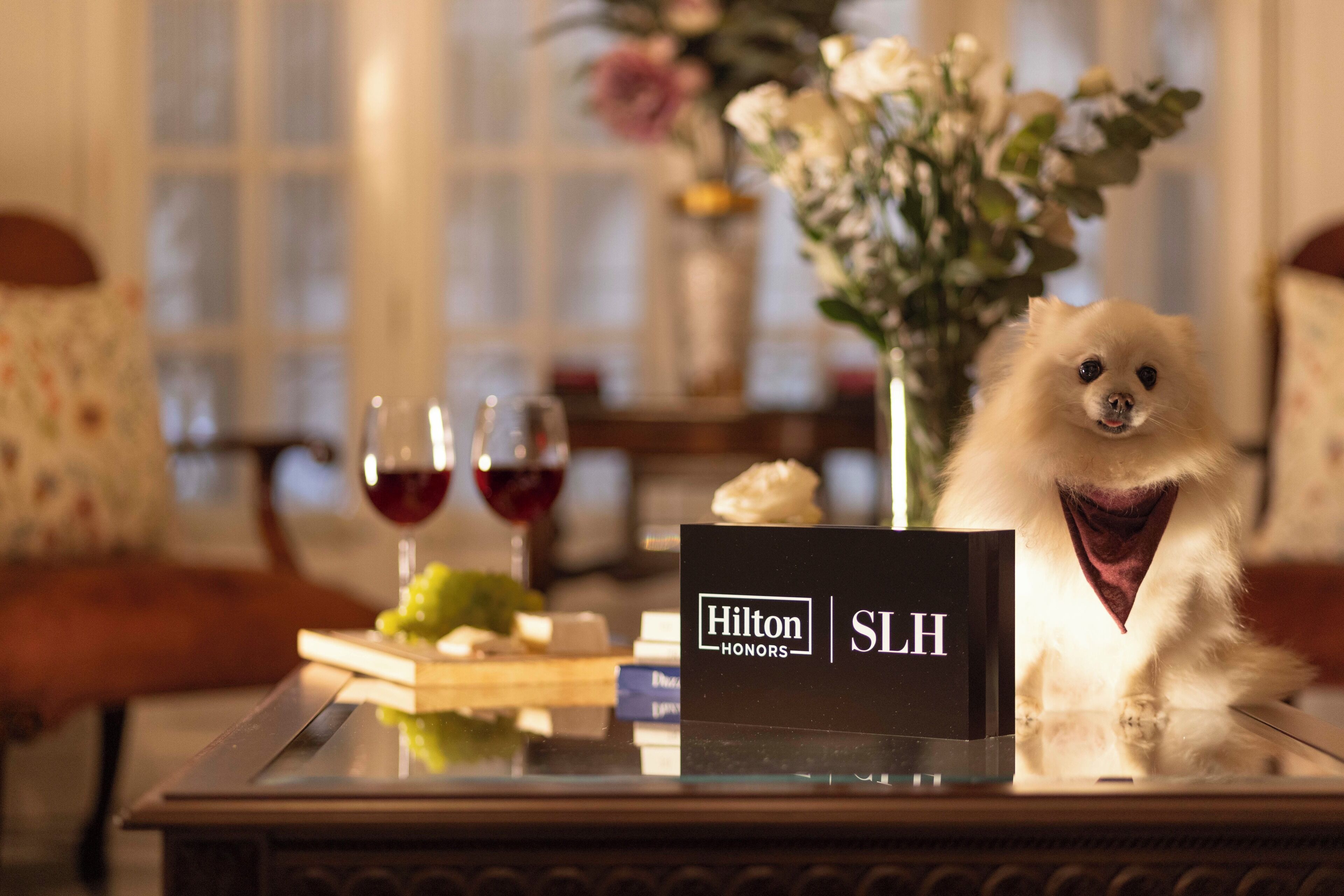 Foto - Roso Guest House