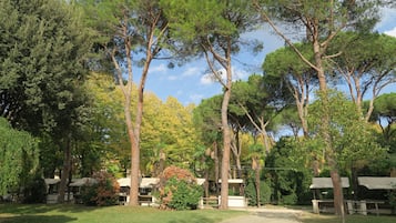 A pathway leading to a row of outdoor seating areas with picnic tables, surrounded by tall trees and greenery.