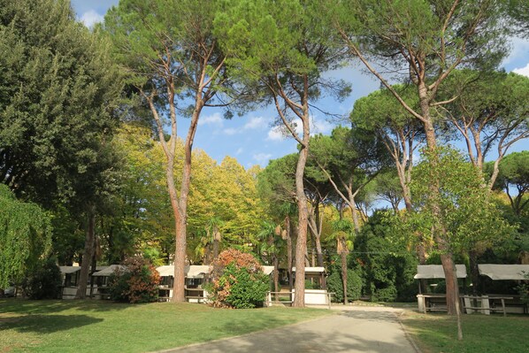 A pathway leading to a row of outdoor seating areas with picnic tables, surrounded by tall trees and greenery. - Lina Residence (Brisighella)