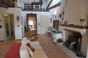 TV connectée, cheminée, livres, chaîne hi-fi