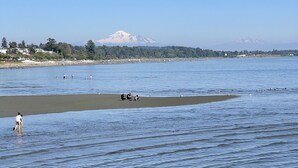 A beach with a mountain in the background.