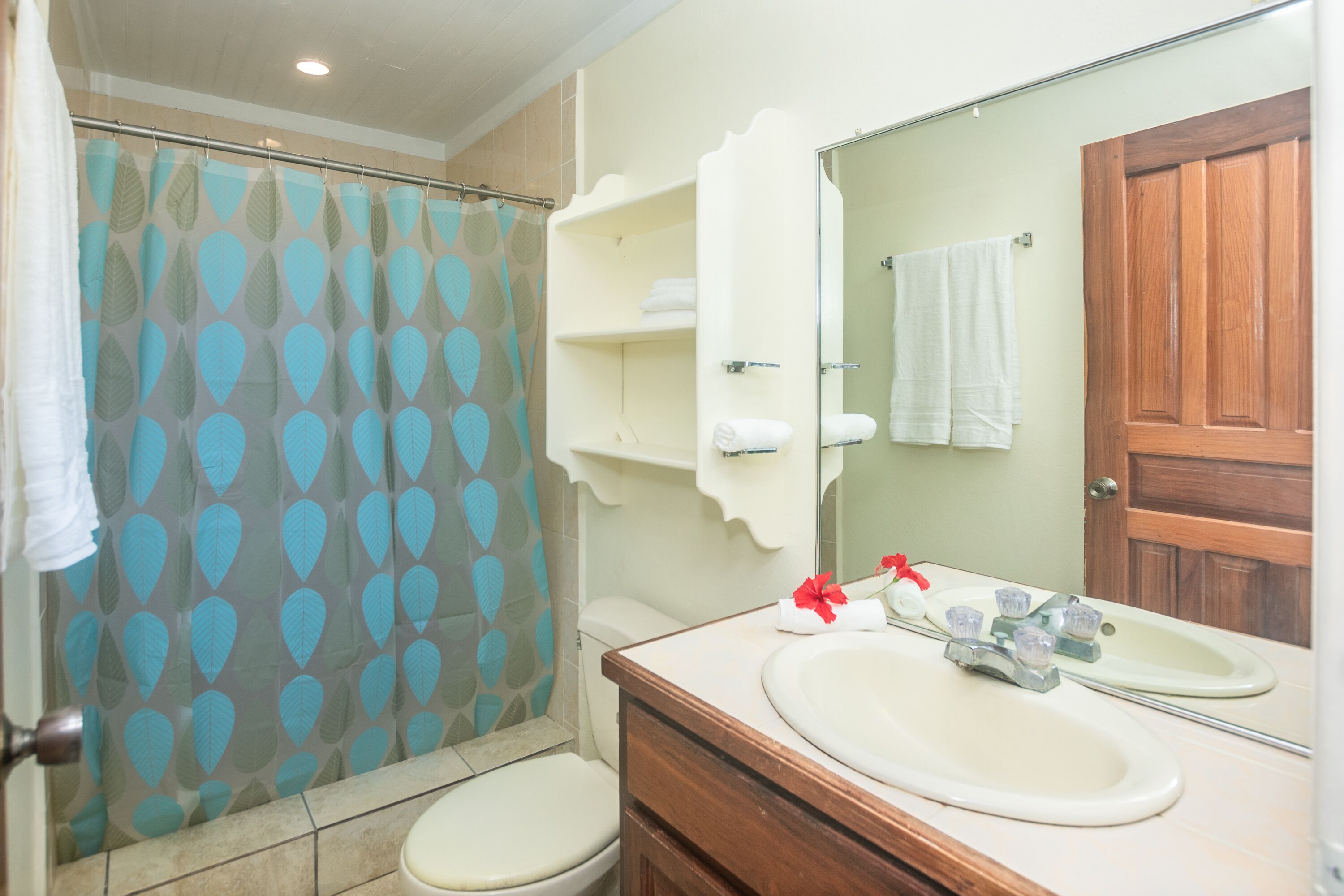 A bathroom with a shower, toilet, sink, and a mirror.