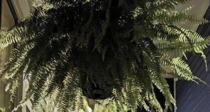 Romantic Luxury Artist Cottage Near French Quarter